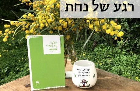 מארז ספר וספל משלך